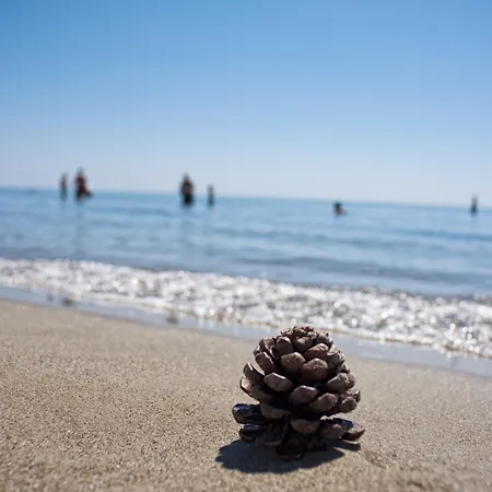Masseria Macchia & Relais San Pio Feriegård *
