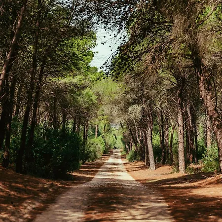 Masseria Macchia & Relais San Pio * 메타폰토