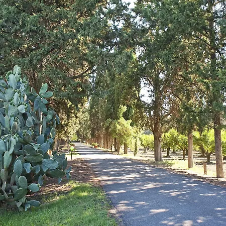 팜스테이 Masseria Macchia & Relais San Pio 메타폰토